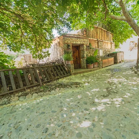 Levissi Otantic Stone In *