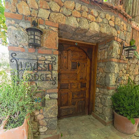 Villa Levissi Otantic Stone In *