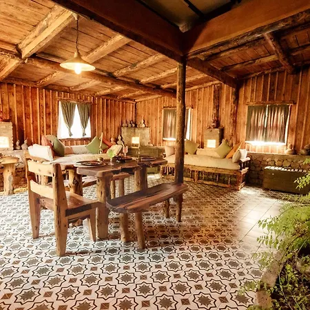 Levissi Otantic Stone In