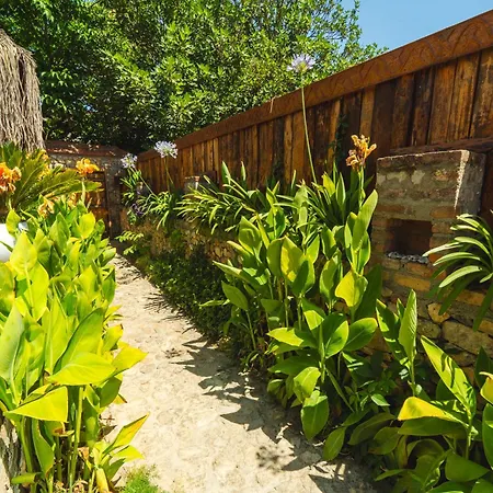 Levissi Otantic Stone In *