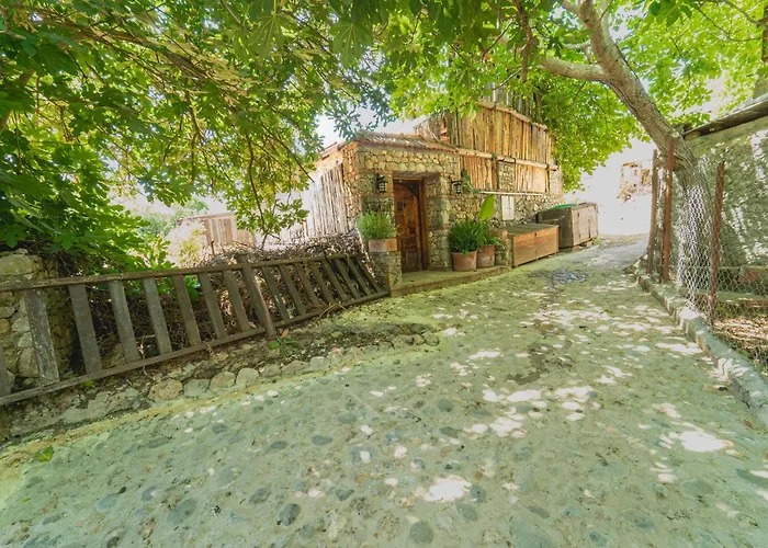 Levissi Otantic Stone In *