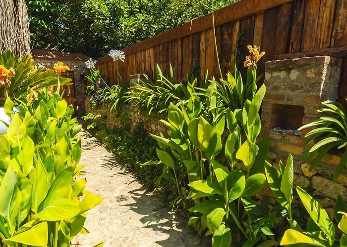 Levissi Otantic Stone In *